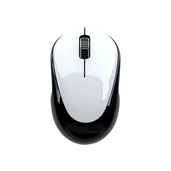 Mouse